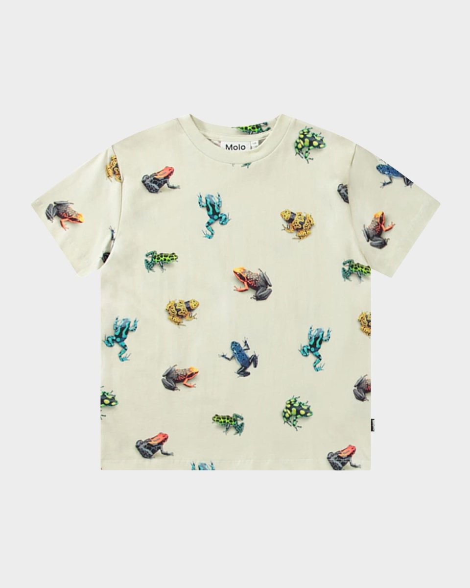 Boy's Roxo Graphic Frog T-Shirt, Size 8-10
